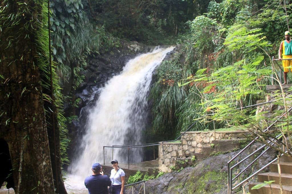 The Cascading Waterfall