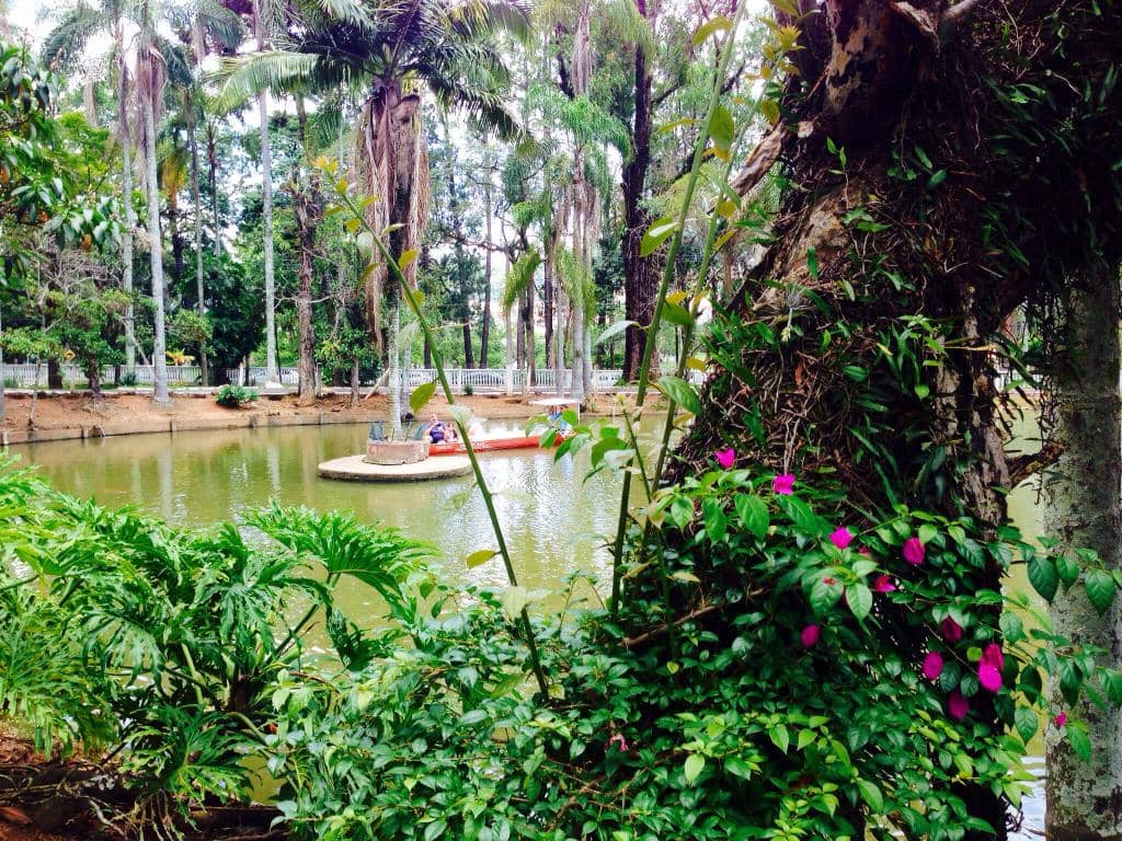 Playgrounds and Sports Areas
