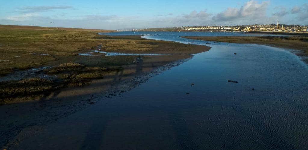 Wild Chesil Centre Exhibitions