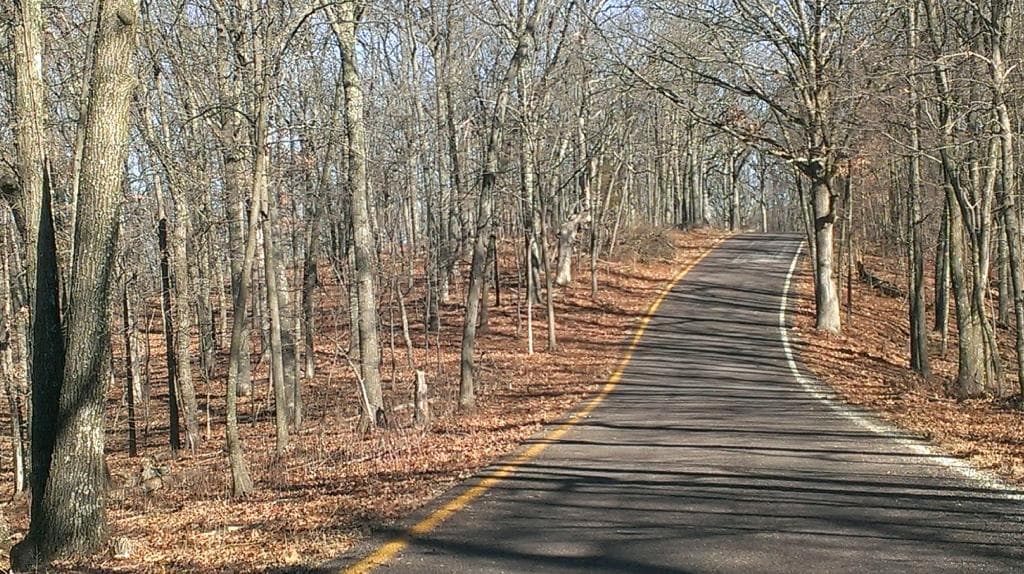 Road within Park