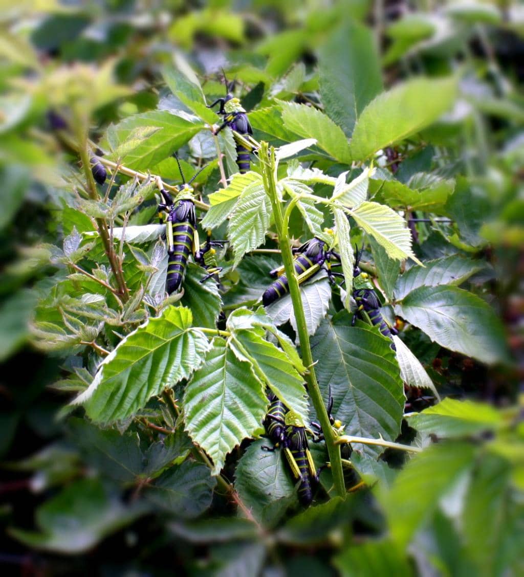 Charming Accommodation