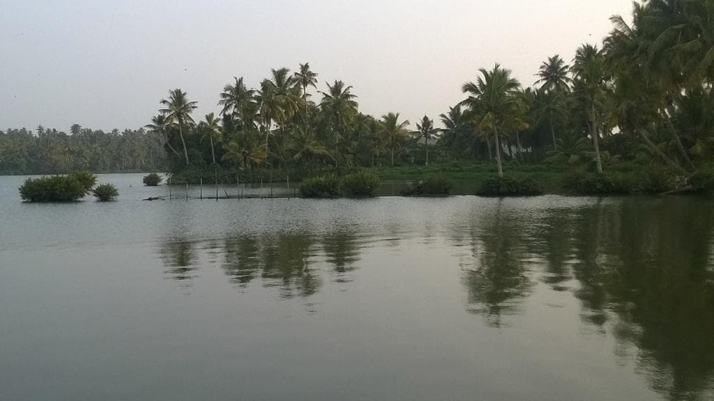 around the island and river bank