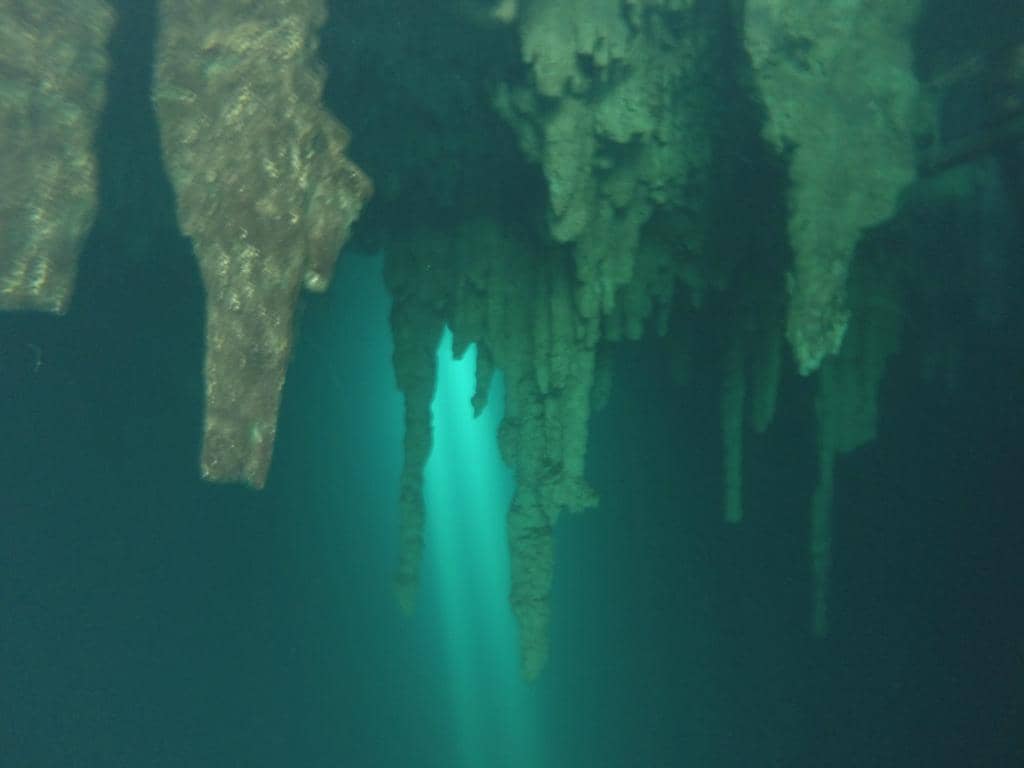 Open Air Cenote Jumps