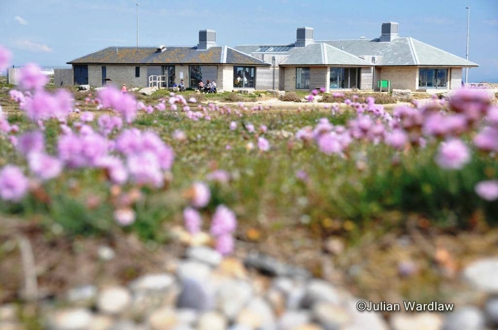 Chesil Beach Exploration