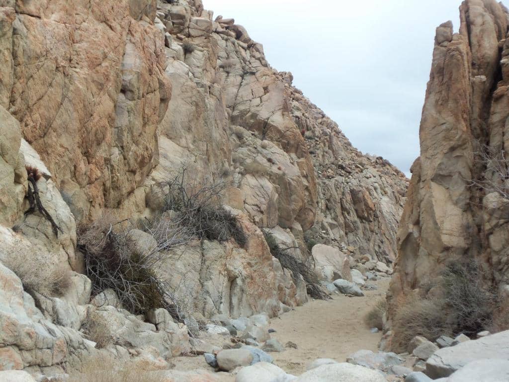 Vertical photo