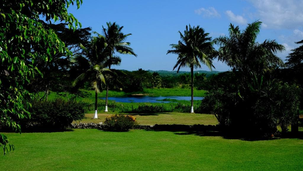 More of the estate grounds