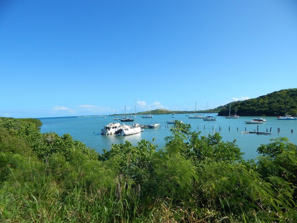 Salt River Bay Park, harbor