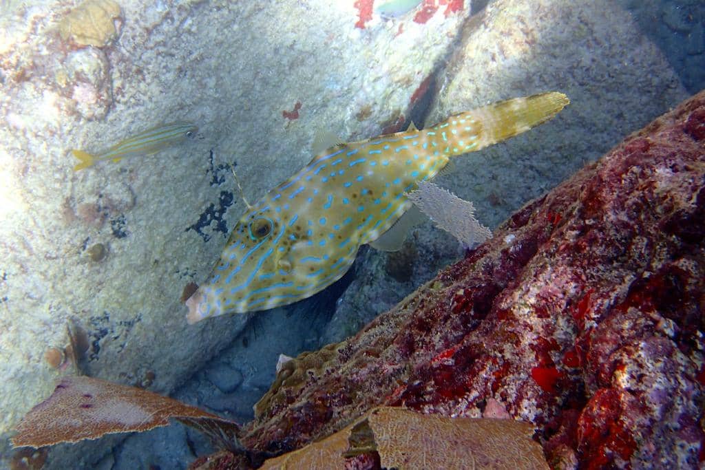 Crystal-Clear Waters