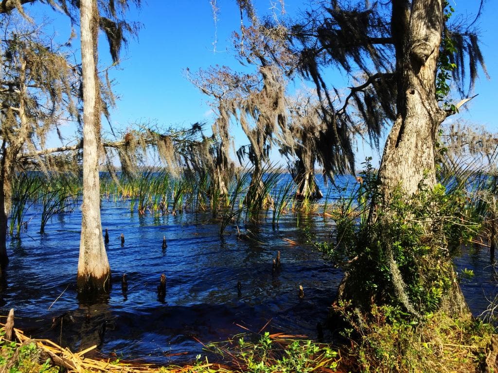Lake Russell