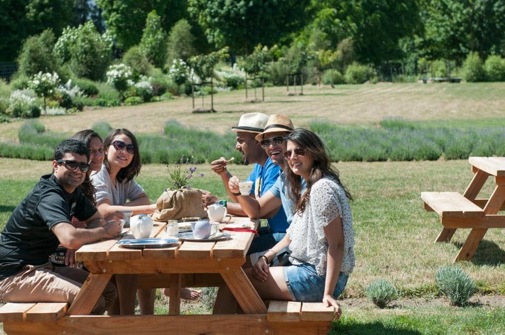 Adorable Farm Animals