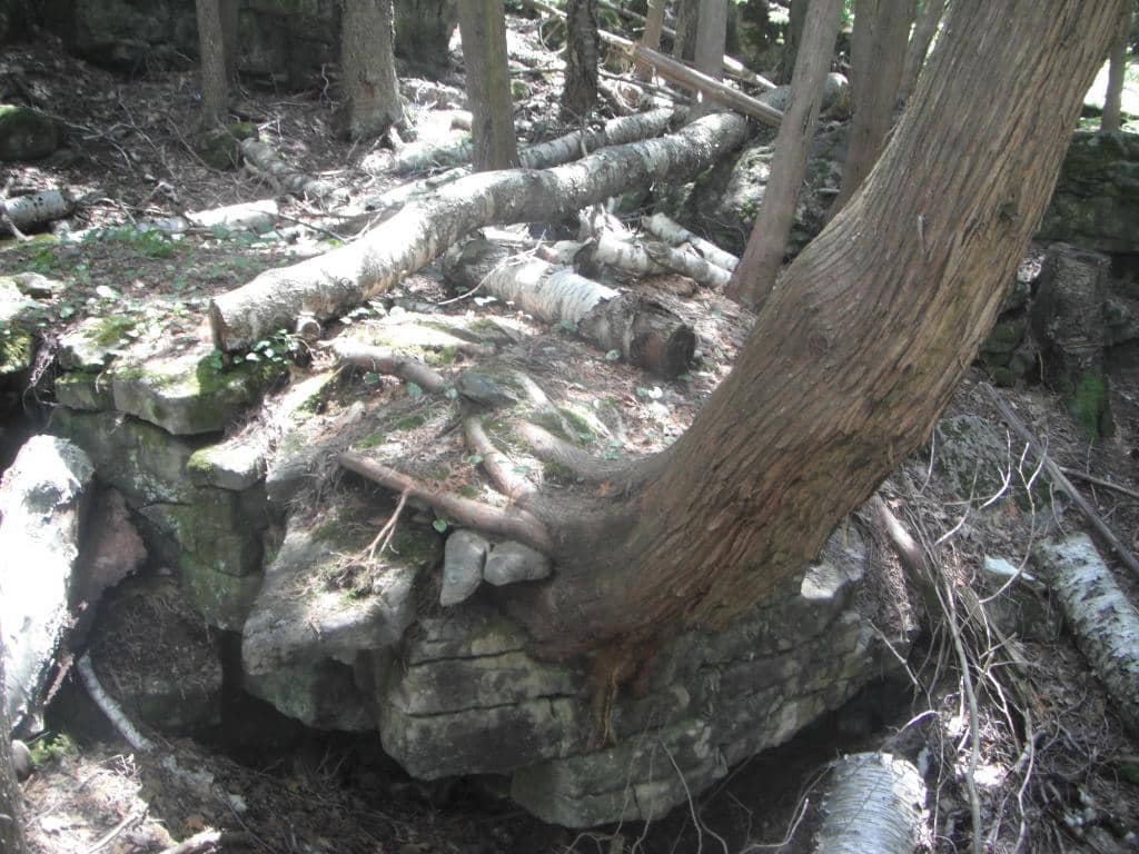 Escarpment Trail Lookout