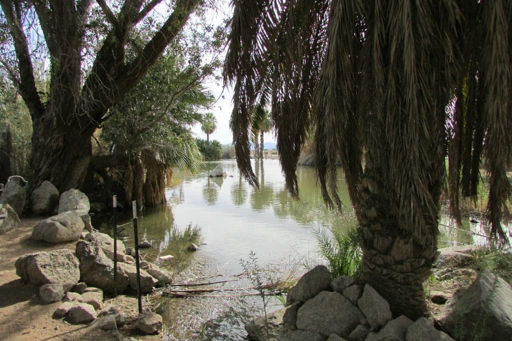 picnic area next to pond