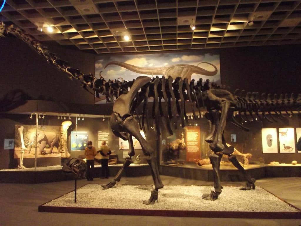 Interactive Exhibits