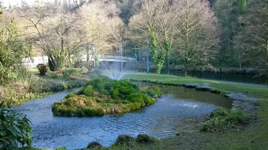 Water feature