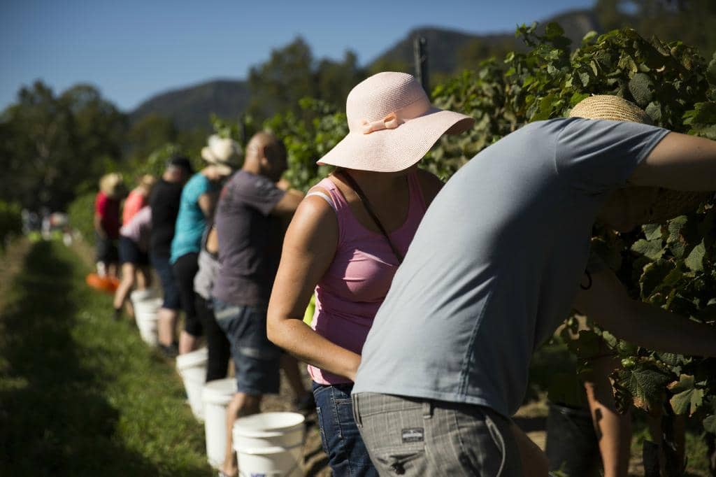 Wine & Chocolate Pairing