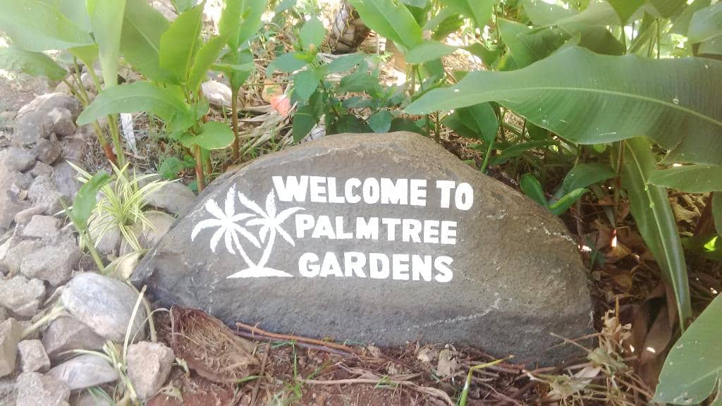 Diverse Plant Collection