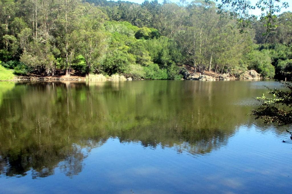 Lake Anza, Tilden Regional Park, Berkeley, Ca