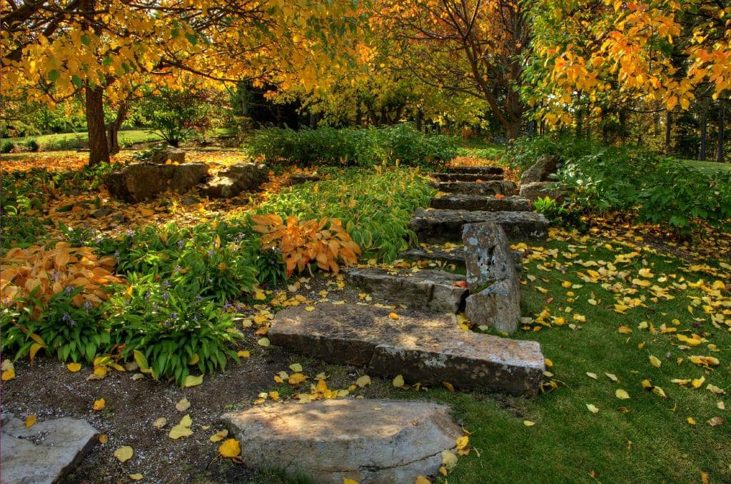 Aga Khan Garden