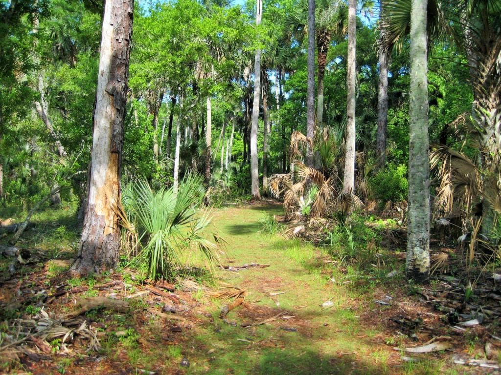 Amazing trail