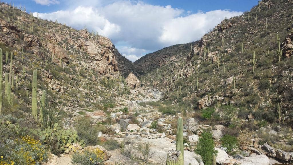 Natural Swimming Holes