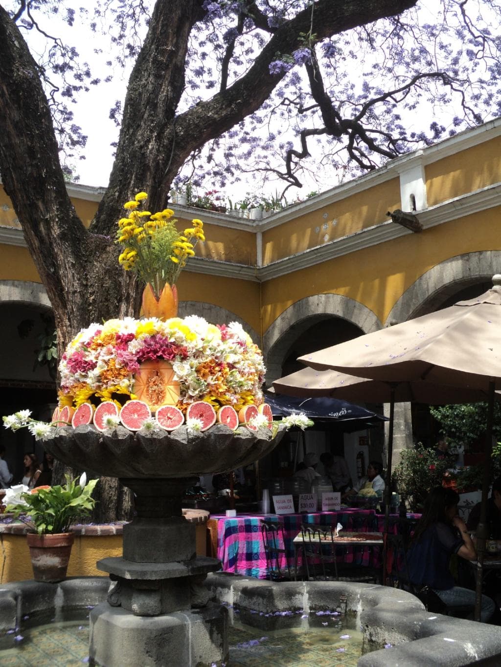 la fuente en el centro del patio