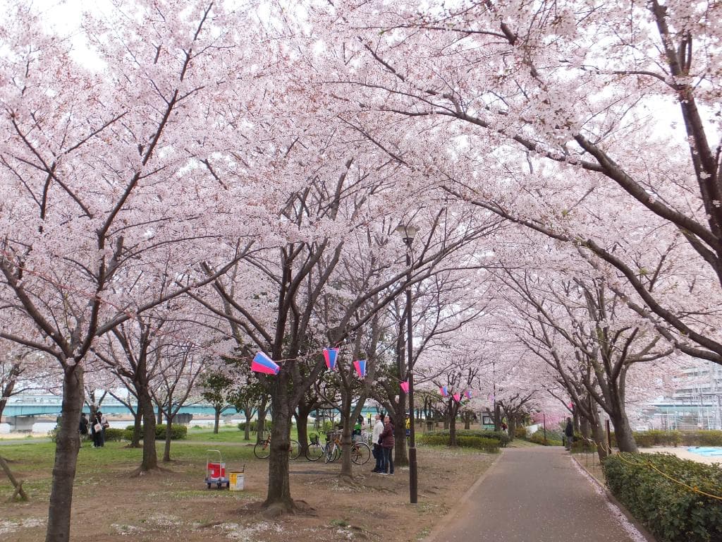 千本桜