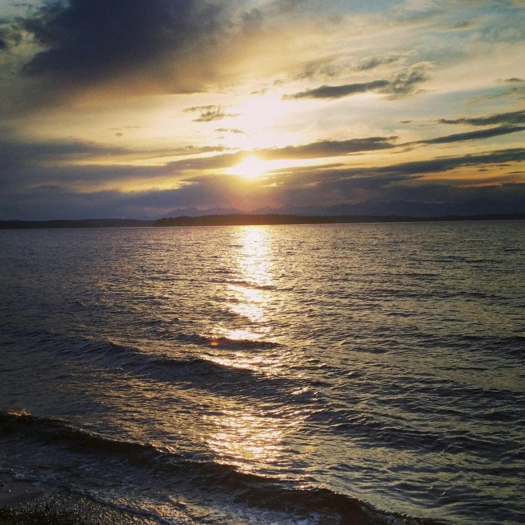 Best views of sunset at Lincoln Park!