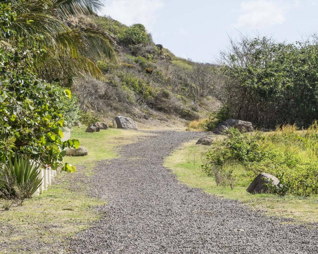 Secluded Sandy Shores