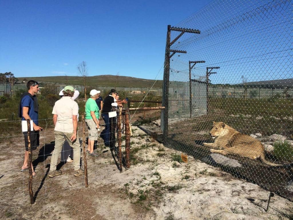 Heartbreaking Rescue Stories
