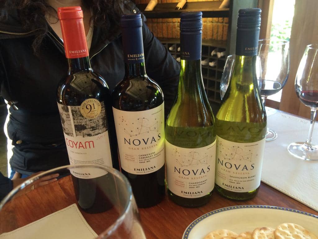 Wine Tasting Experience