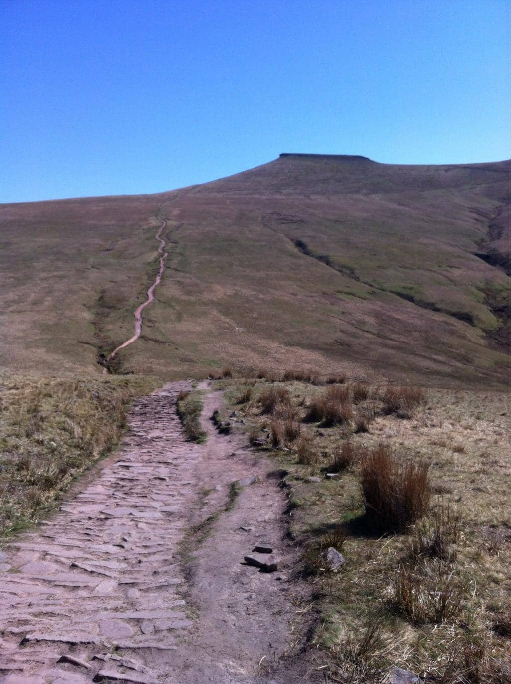 Corn Du