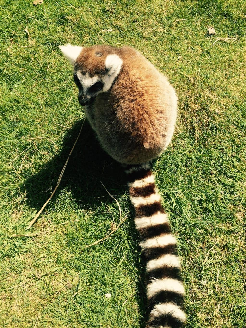 Vertical photo