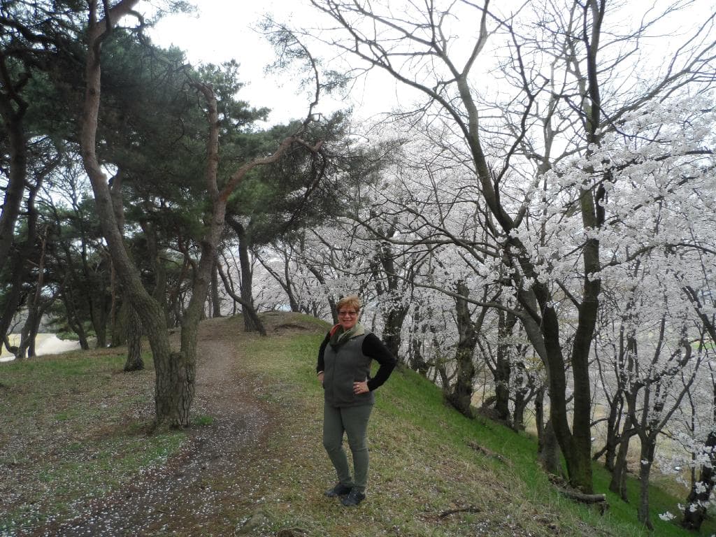 Seokbinggo (Stone Ice Storage)