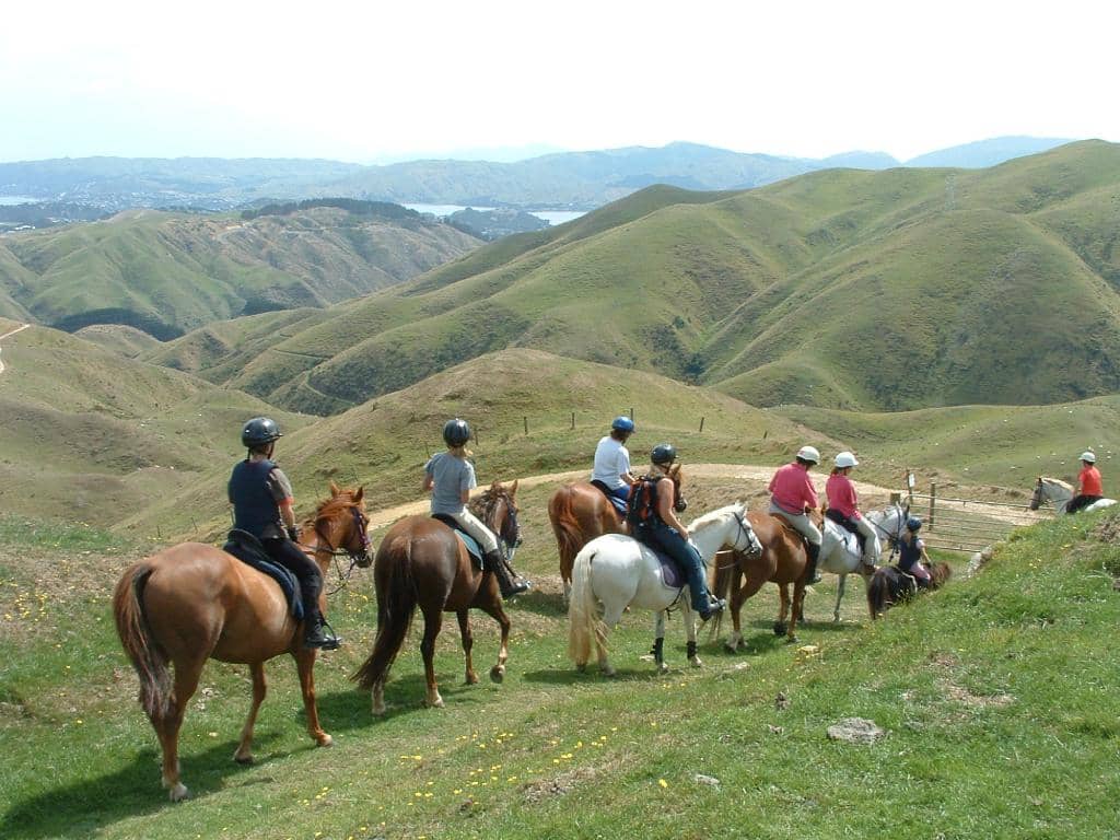 Korokoro Dam Waterfall