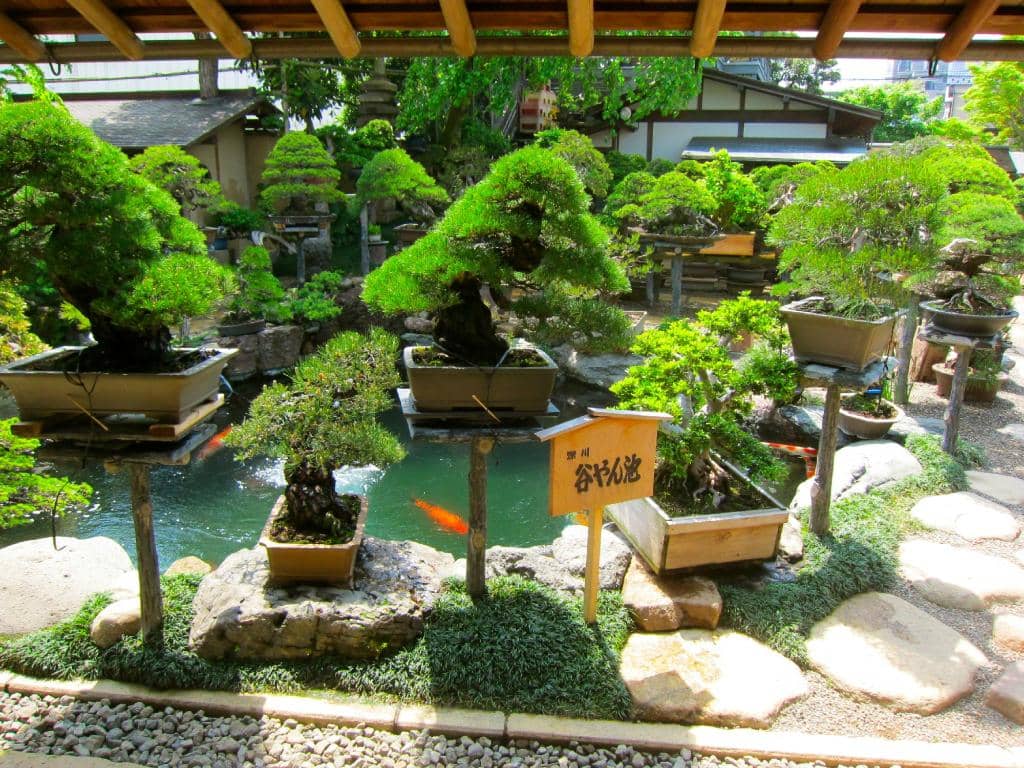 Master Kunio Kobayashi's Workshop
