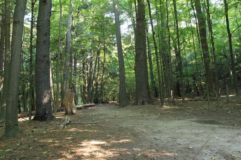 Trails at Boyd Conservation Area