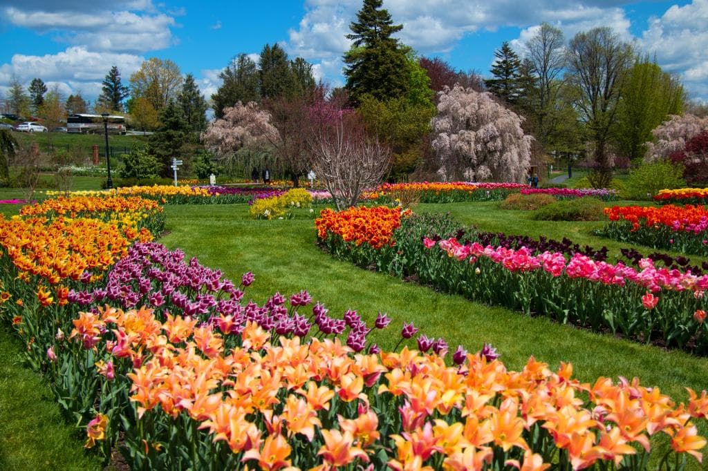 the gardens