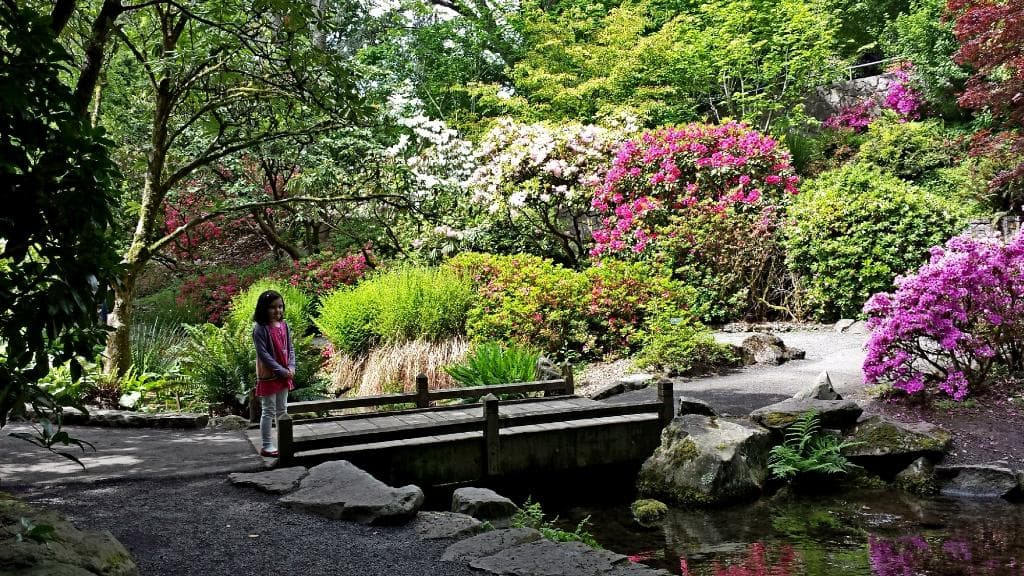 One of the many garden paths