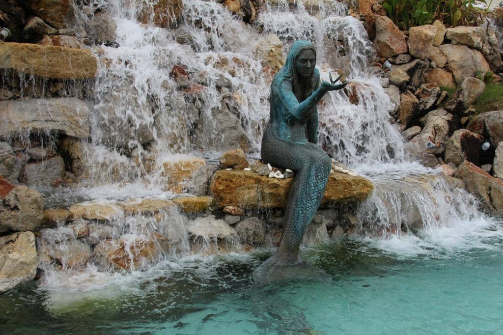 Live Music & Light Show