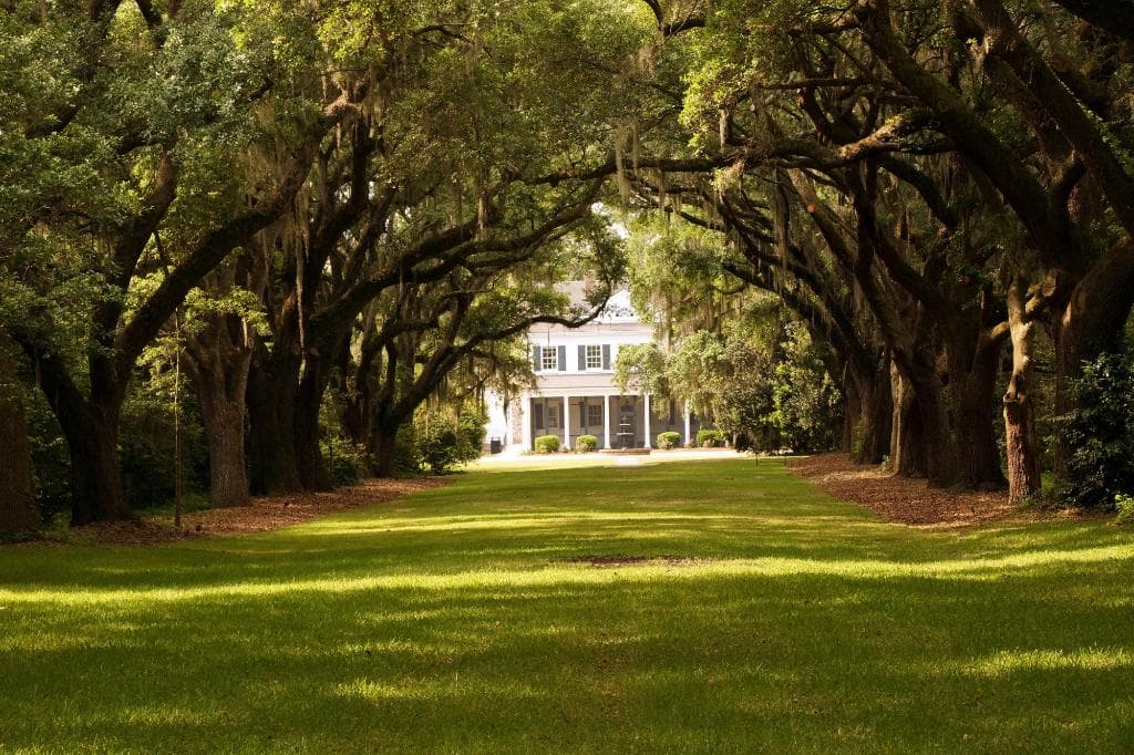 Oak Alley