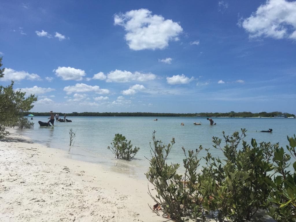 Dog Beach Park