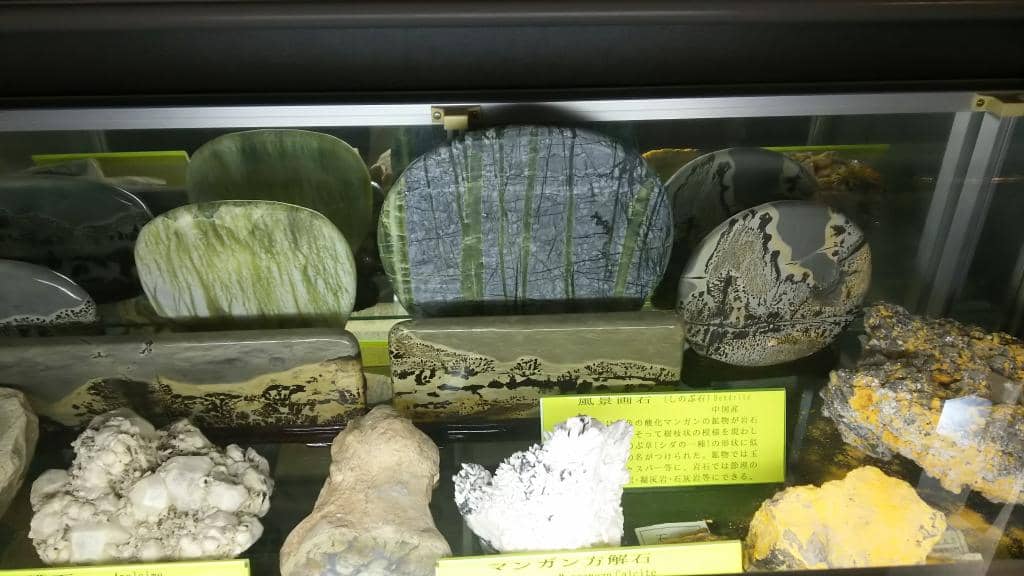 Gemstone and Fossil Exhibition