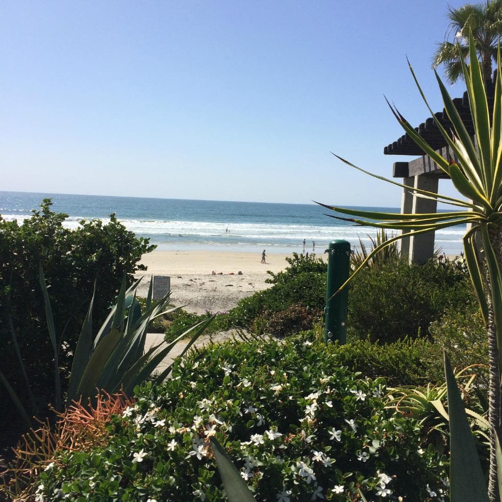 View from the beach house