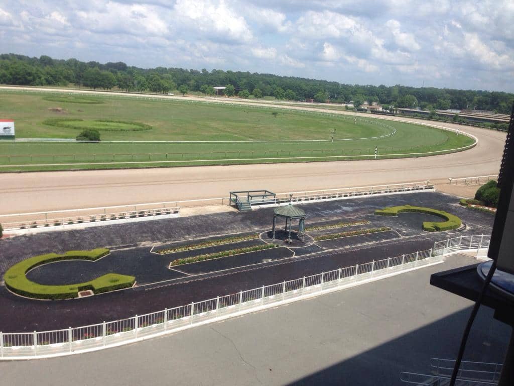 Thoroughbred Racing Action