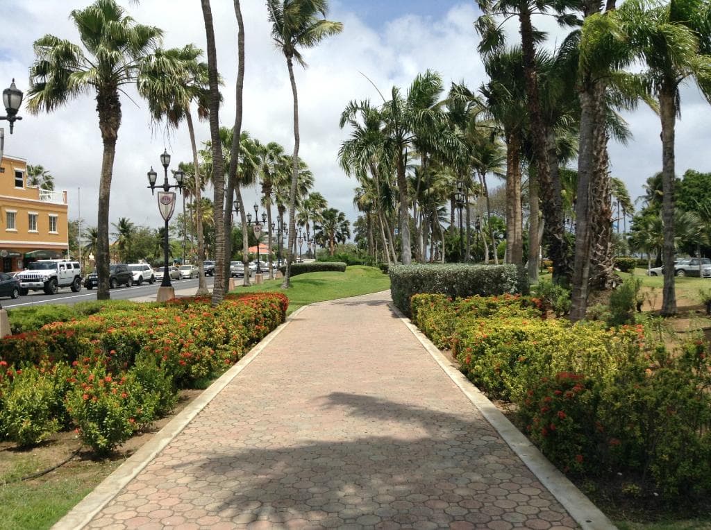 Pathway to Wilhelmina Park