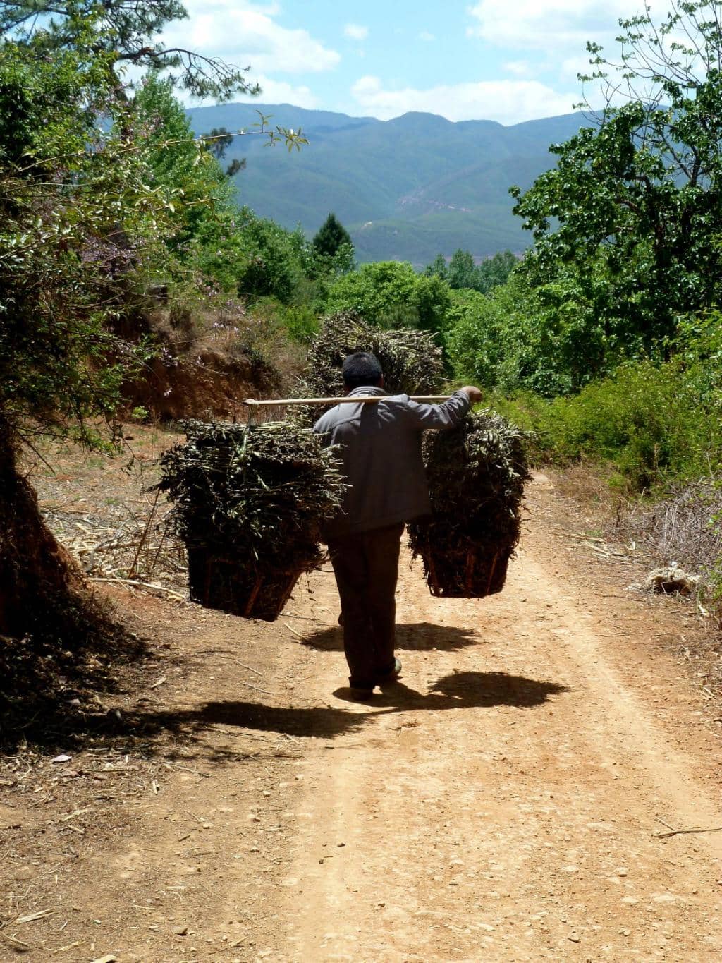 Unique Local Boutiques