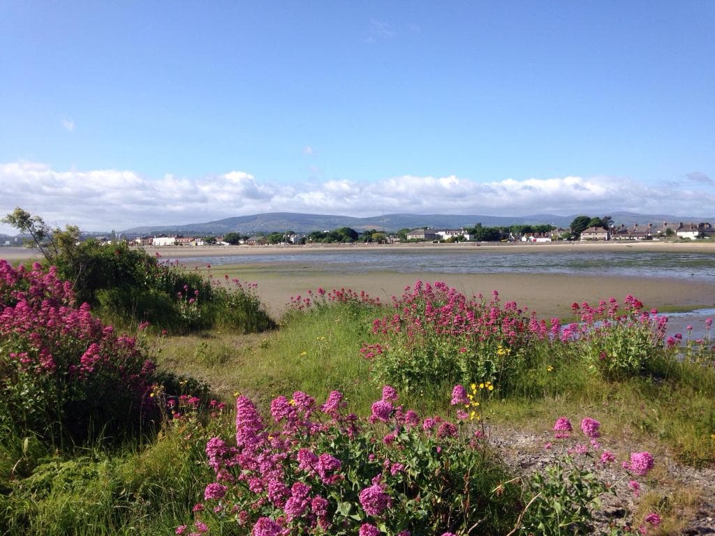 A sunny Saturday in the nature reserve.
