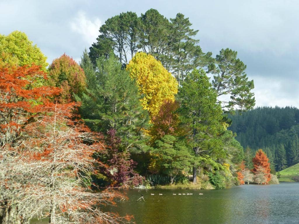 Omanawa Falls