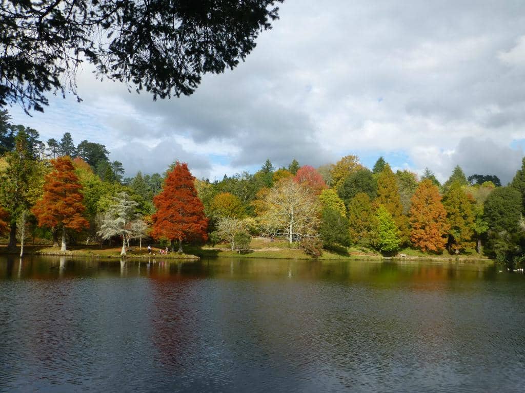 Lake McLaren
