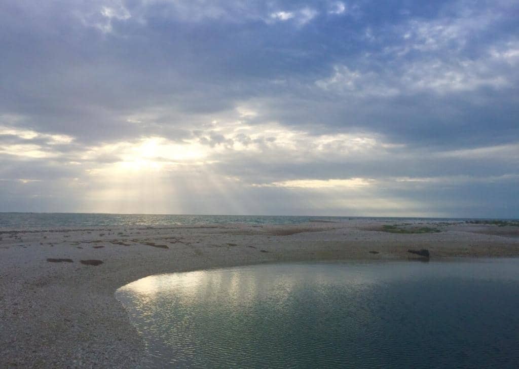 Gator Sunrise Views